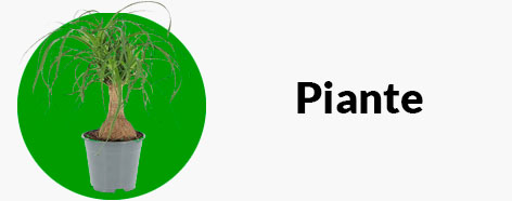 attrezzi per potatura