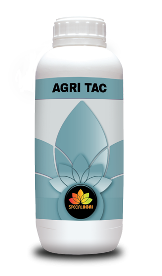 ADESIVO ANTISCHIUMA KG.1 