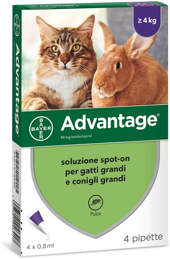 ADVANTAGE GATTO 80 OLTRE 4 KG 