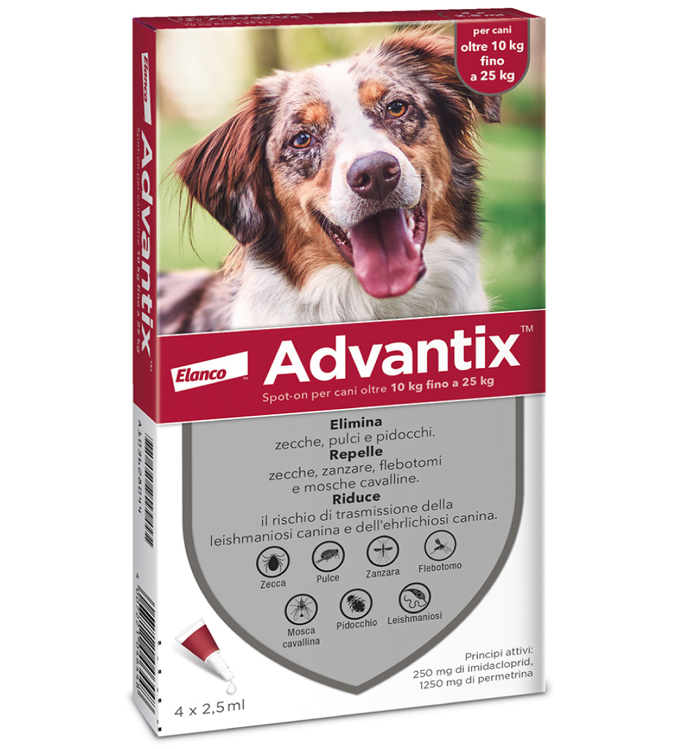 ADVANTIX CANE KG.10-25 