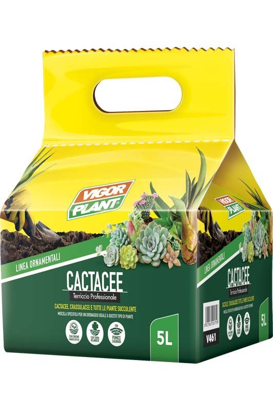 BALLETTA TERRICCIO CACTACEE LT.5 
