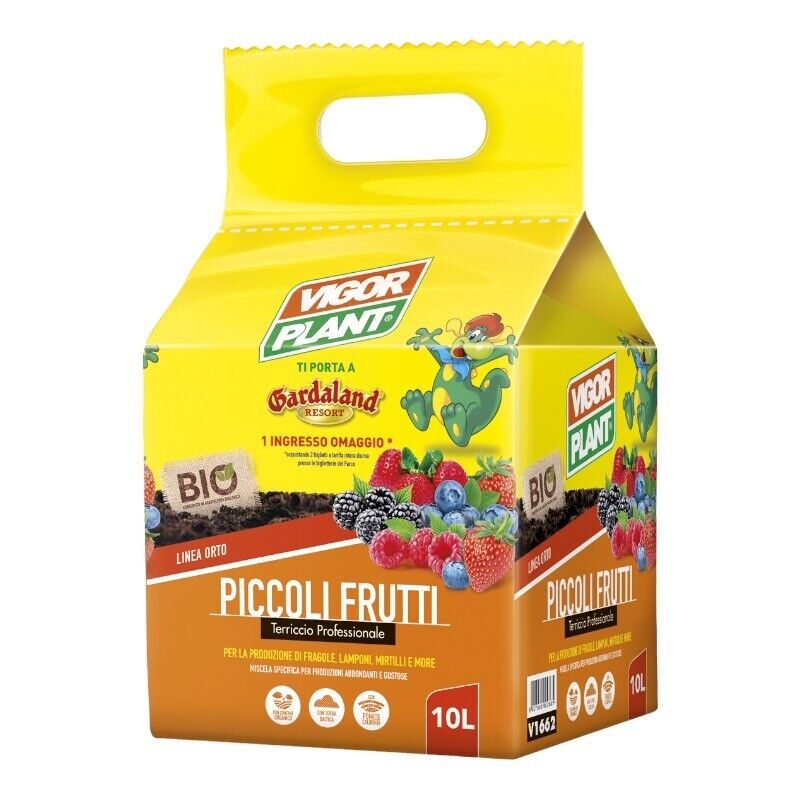 BALLETTA PICCOLI FRUTTI LT.10 