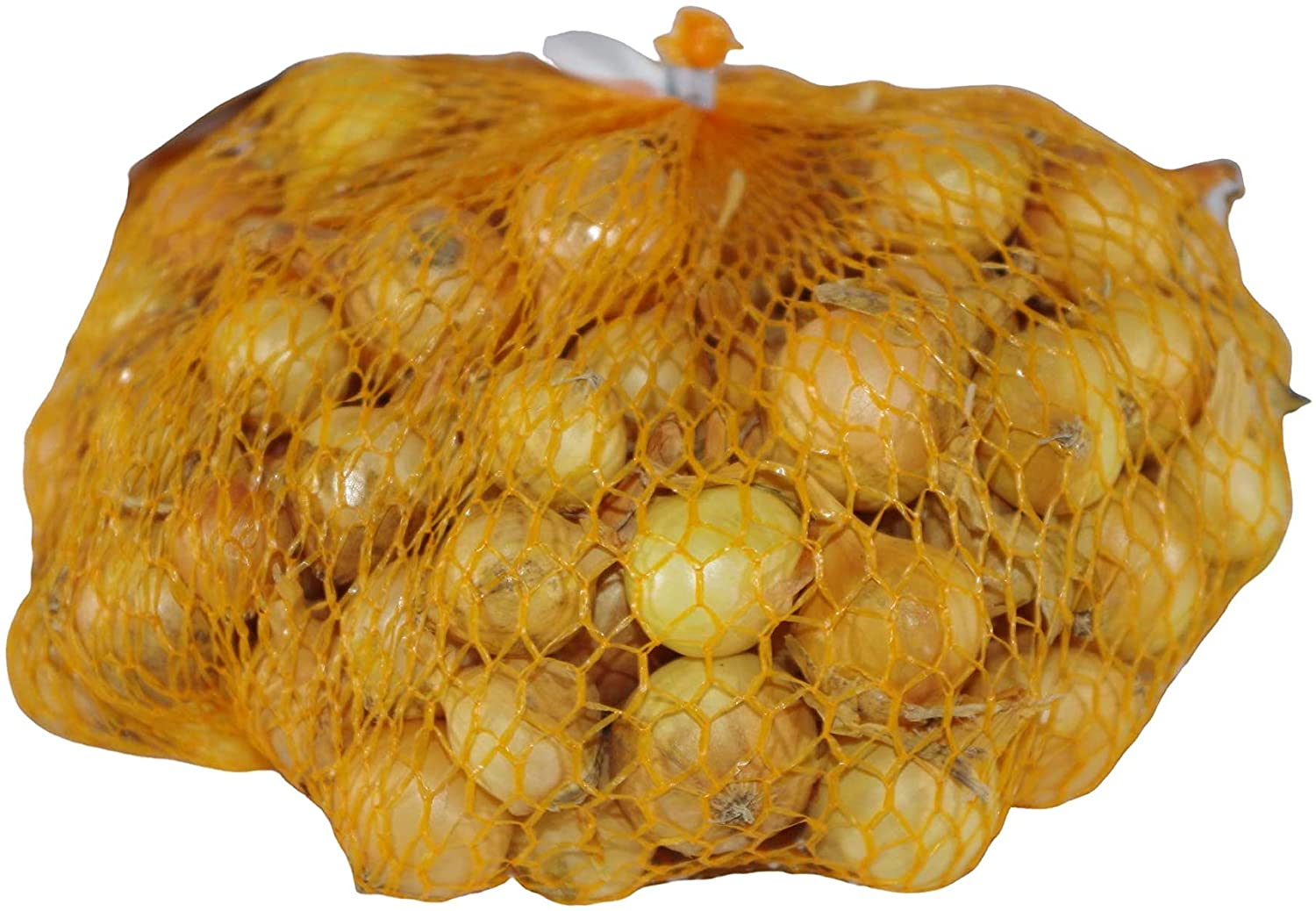BULBILLI CIPOLLA STOCCARDA GIALLA GR.500 