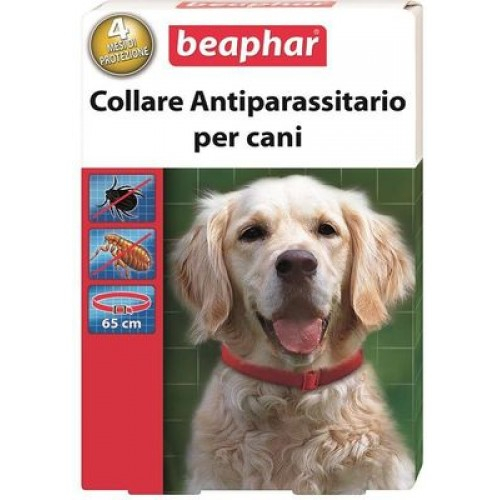 COLLARE ANTIPARASSITARIO CANE 