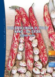 FAGIOLO BORLOTTO LINGUA DI FUOCO NANO KG.1 