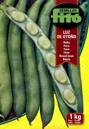 SEME FAVA LUZ DE OTONO KG.1 