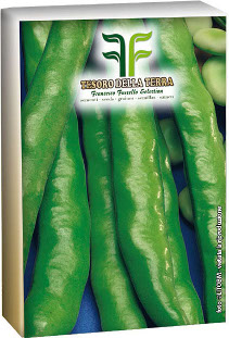 SEME FAVA SPADAVERDE KG.1 