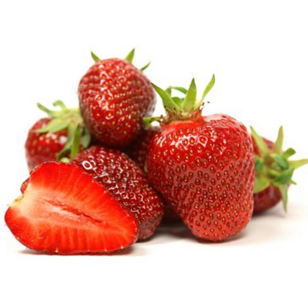 VASCHETTA 4 PIANTE DI FRAGOLE 
