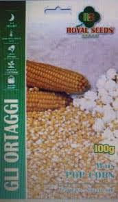 MAIS POP CORN GR.100 