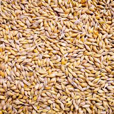 MANGIME GRANO DURO KG.10 