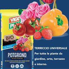 TERRICCIO POT GROND LT.20 