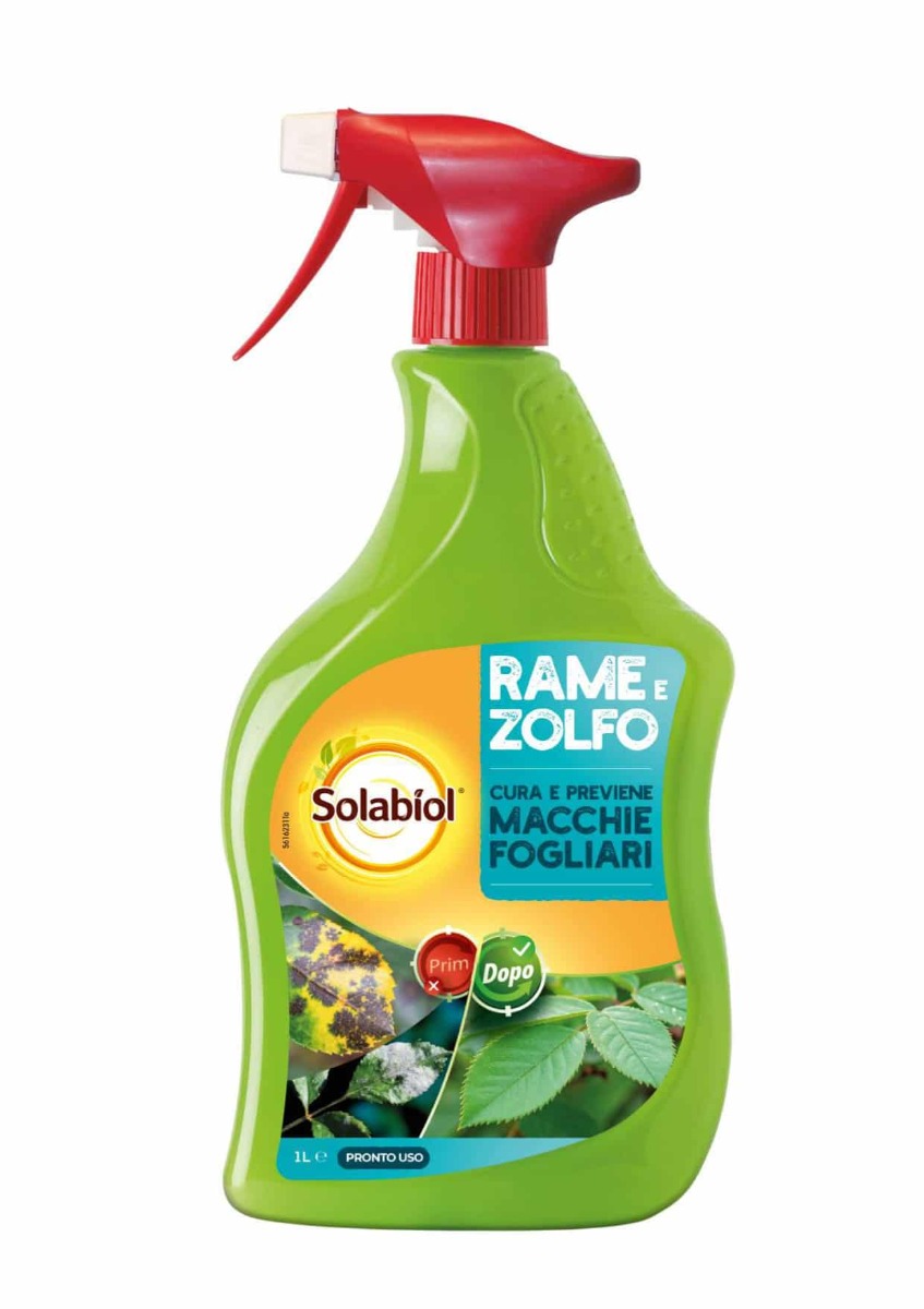 RAME + ZOLFO SOLABIOL PRONTO ALL'USO LT.1 