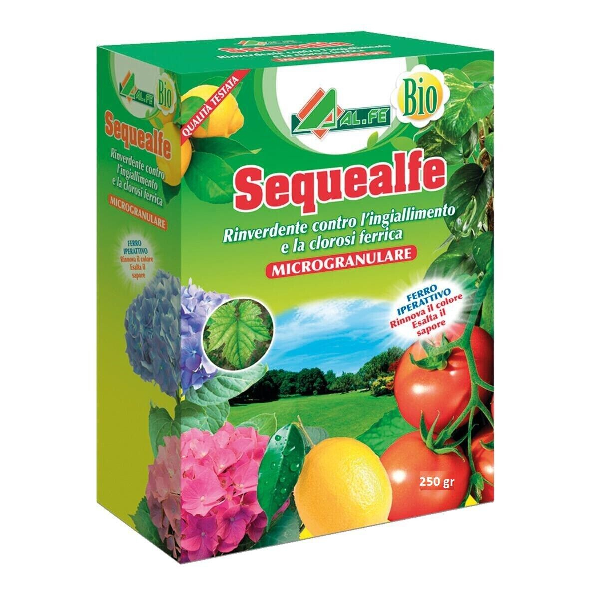 SEQUEALFE CHELATO DI FERRO GR.250 