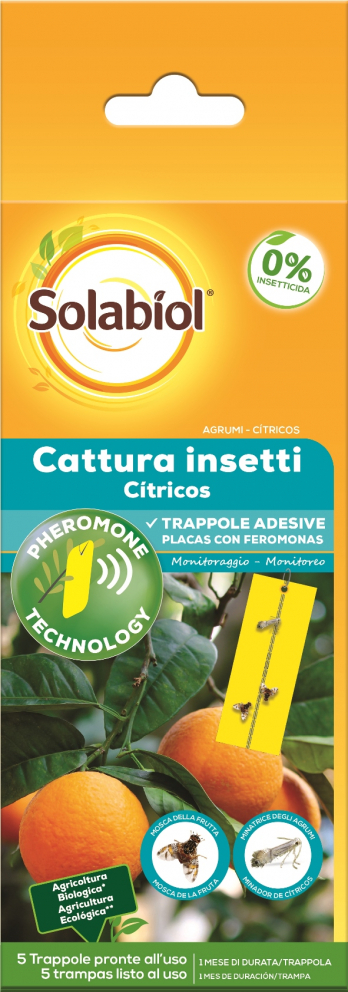 SOLABIOL TRAPPOLA CATTURA INSETTI AGRUMI 