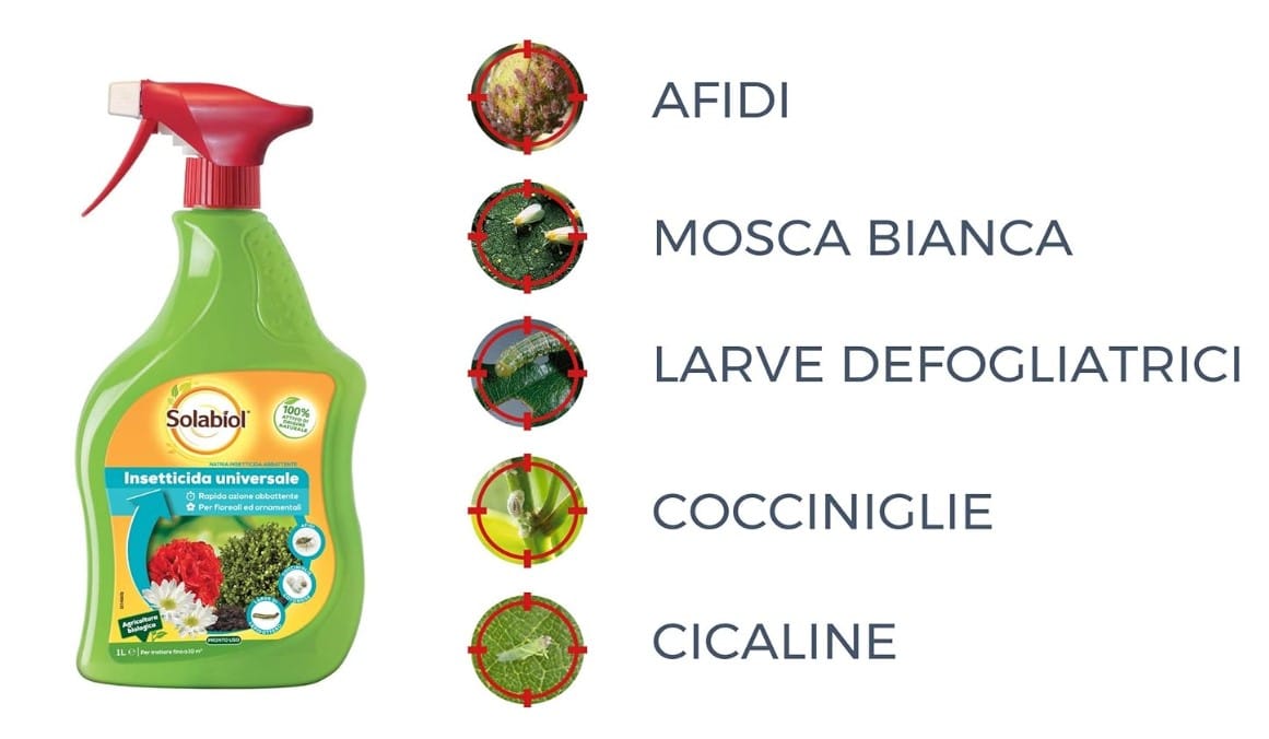 SOLABIOL INSETTICIDA ABBATTENTE AL LT.1 