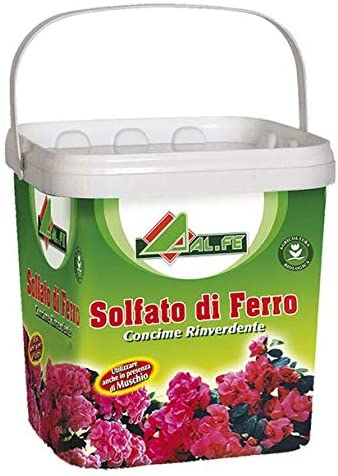 SOLFATO FERROSO ALFE KG.5 