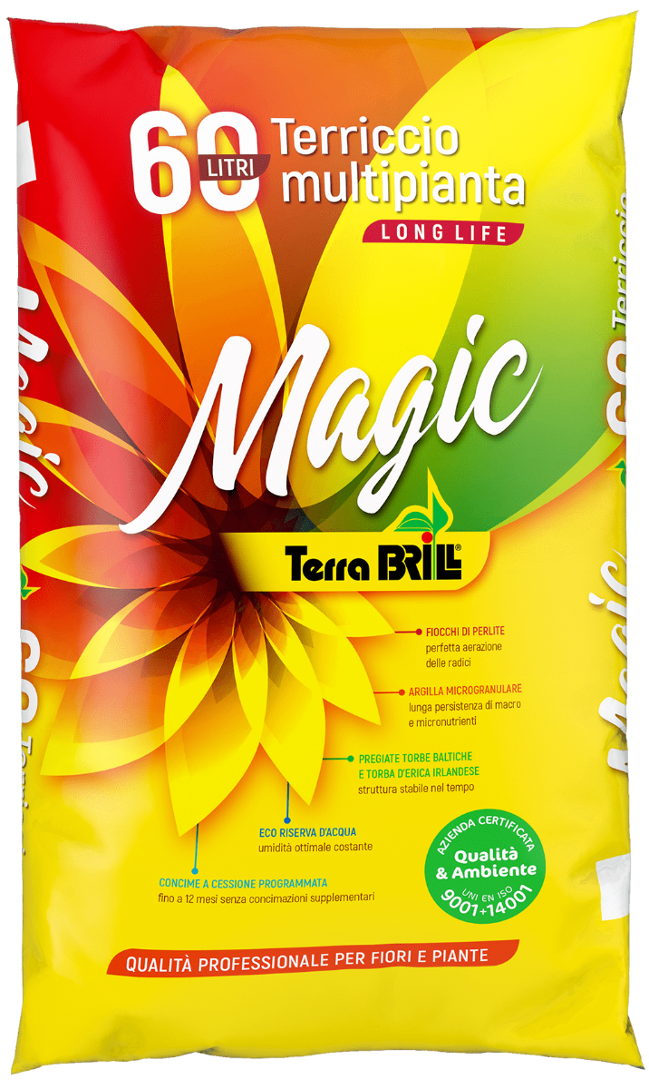 TERRABRILL MAGIC LT.60 