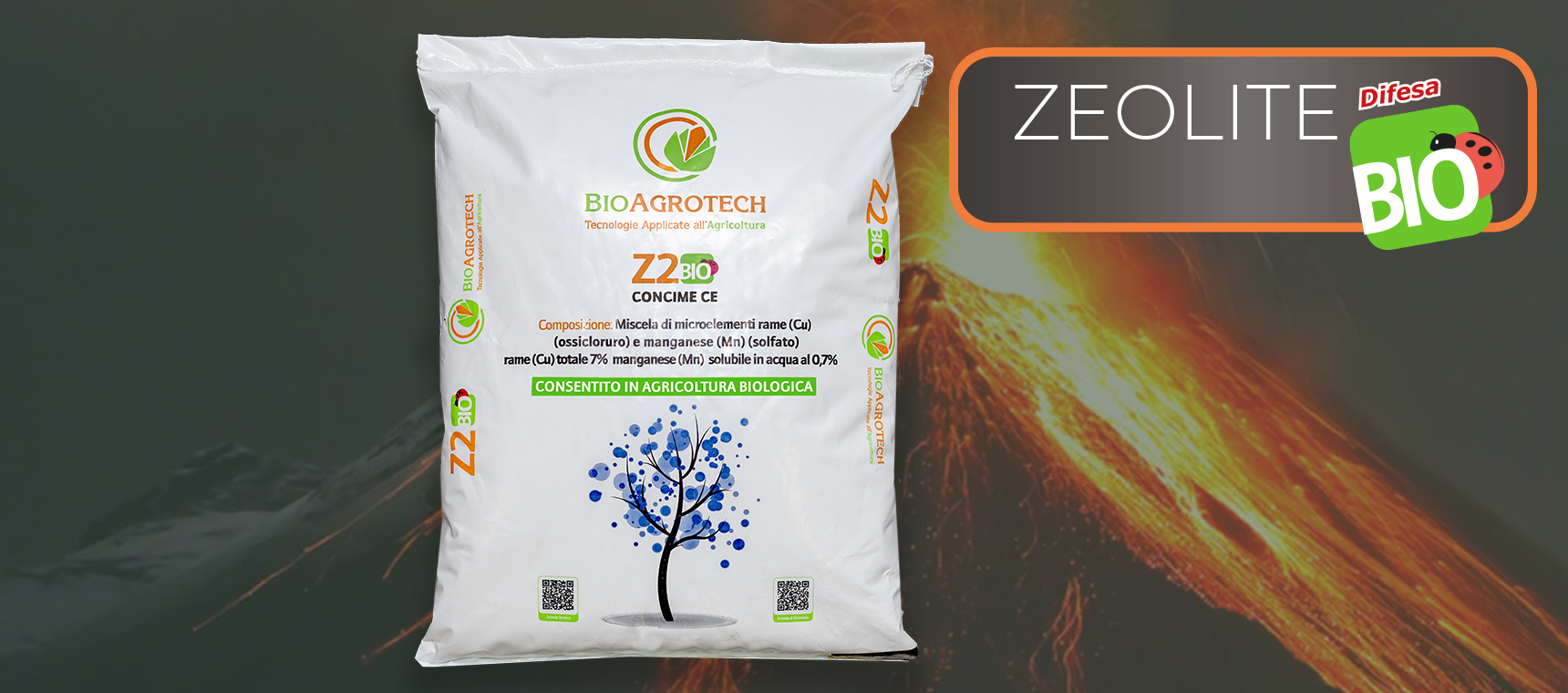 Z2 KG.1 