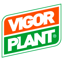vigor